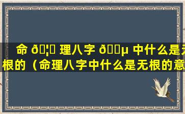 命 🦆 理八字 🌵 中什么是无根的（命理八字中什么是无根的意思）